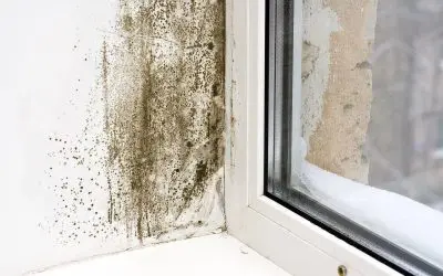5 Signs of Mold Growth in a Home
