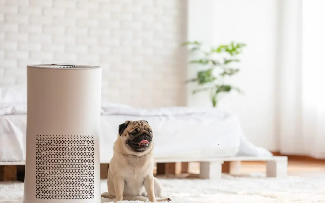 allergy-proofing your home