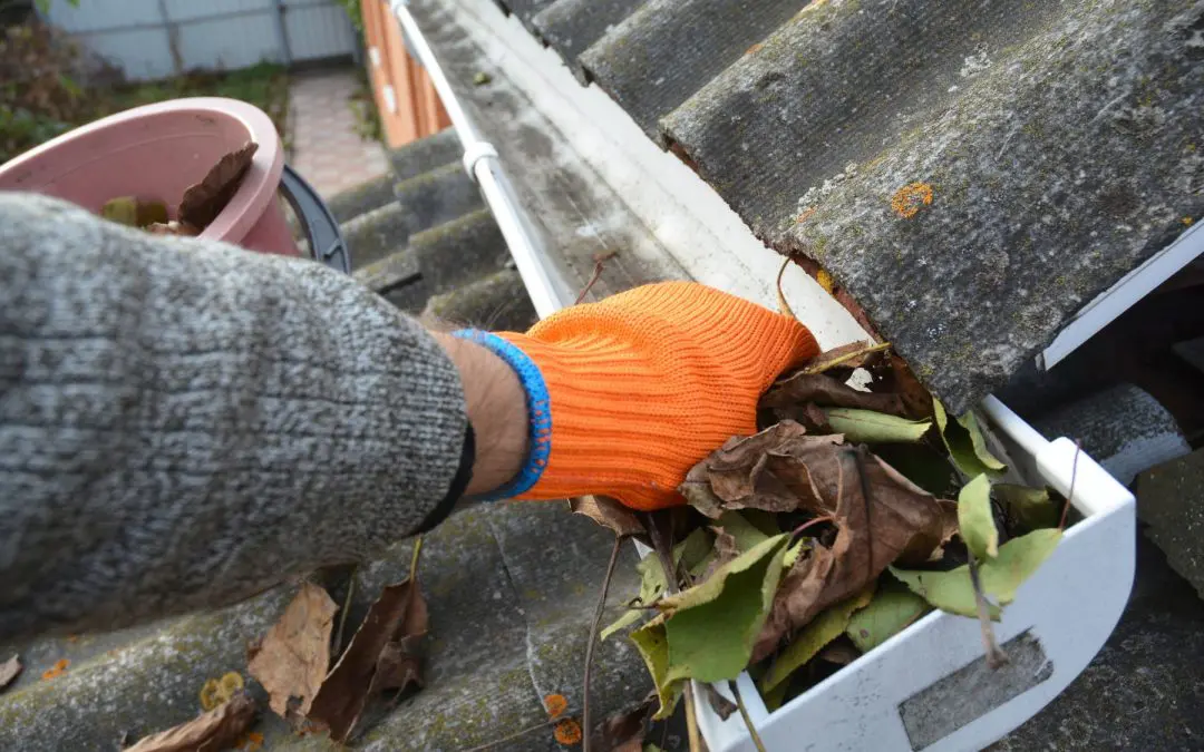 DIY Home Maintenance