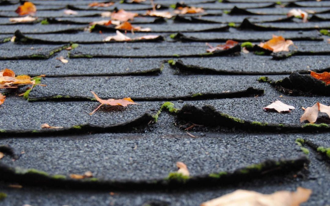 Watch for Signs You Need a New Roof