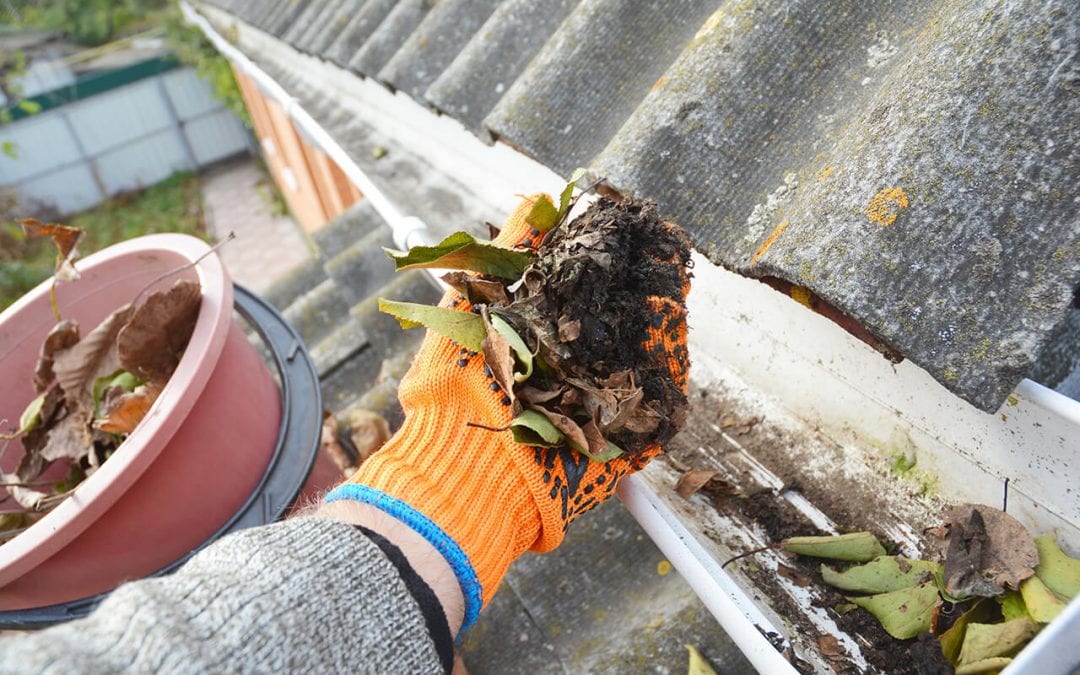 clean your gutters to avoid drainage problems around the home