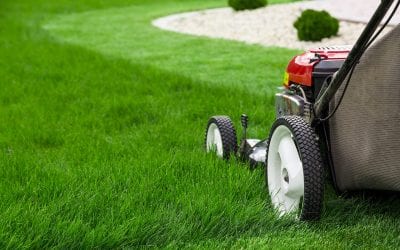 Maintaining a Healthy Lawn During the Summer
