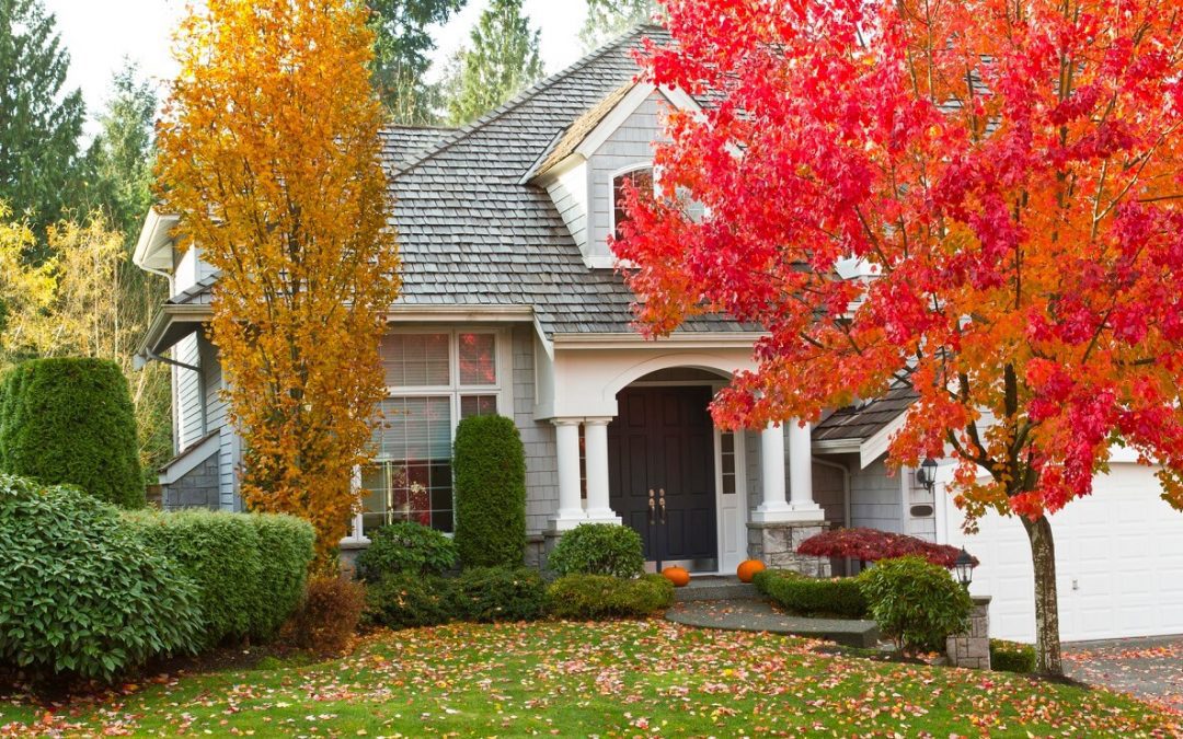 5 Ways To Upgrade Your Fall Curb Appeal