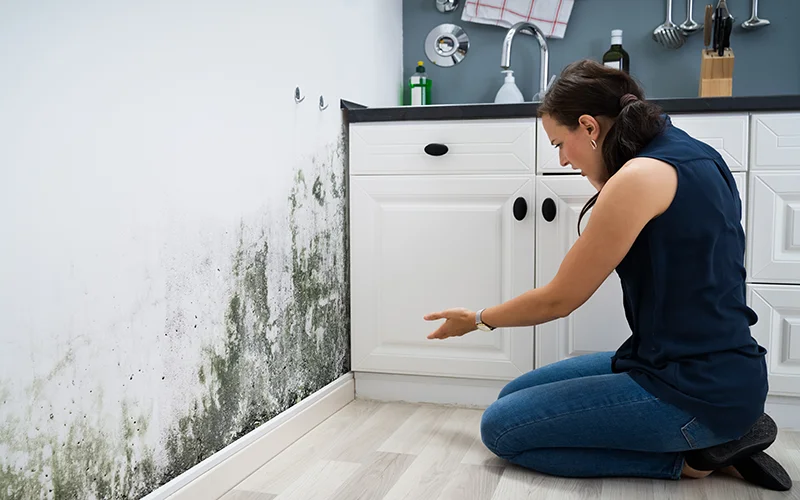 Mold Testing Home Inspection Services